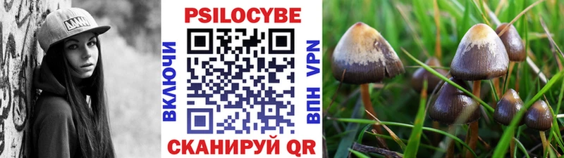 Галлюциногенные грибы Psilocybine cubensis  Саяногорск 